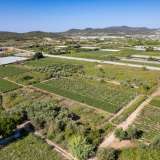  For Sale - (€ 0 / m2), Agricultural 2700 m2 Eleftheres 8098232 thumb5