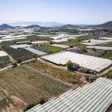  For Sale - (€ 0 / m2), Agricultural 2188 m2 Eleftheres 8098233 thumb1
