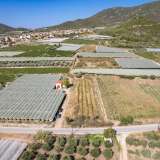  For Sale - (€ 0 / m2), Agricultural 2188 m2 Eleftheres 8098233 thumb0