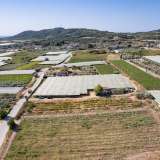  For Sale - (€ 0 / m2), Agricultural 2188 m2 Eleftheres 8098233 thumb2
