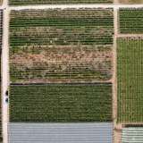  For Sale - (€ 0 / m2), Agricultural 3450 m2 Eleftheres 8098242 thumb3