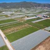  For Sale - (€ 0 / m2), Agricultural 3450 m2 Eleftheres 8098242 thumb9