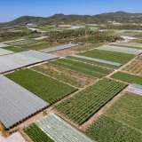  For Sale - (€ 0 / m2), Agricultural 3450 m2 Eleftheres 8098242 thumb7