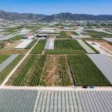  For Sale - (€ 0 / m2), Agricultural 3450 m2 Eleftheres 8098242 thumb4