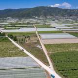  For Sale - (€ 0 / m2), Agricultural 2500 m2 Eleftheres 8098026 thumb4