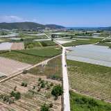  For Sale - (€ 0 / m2), Agricultural 2500 m2 Eleftheres 8098026 thumb1