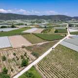  For Sale - (€ 0 / m2), Agricultural 2500 m2 Eleftheres 8098026 thumb5