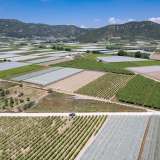  For Sale - (€ 0 / m2), Agricultural 2500 m2 Eleftheres 8098026 thumb7