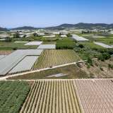 For Sale - (€ 0 / m2), Agricultural 2500 m2 Eleftheres 8098026 thumb2