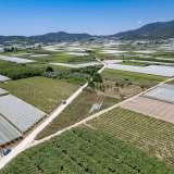  For Sale - (€ 0 / m2), Agricultural 2500 m2 Eleftheres 8098026 thumb3