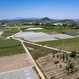  For Sale - (€ 0 / m2), Agricultural 2500 m2 Eleftheres 8098026 thumb0