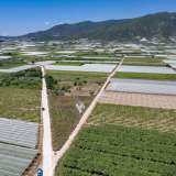  For Sale - (€ 0 / m2), Agricultural 2500 m2 Eleftheres 8098026 thumb9