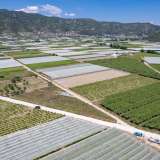  For Sale - (€ 0 / m2), Agricultural 2500 m2 Eleftheres 8098026 thumb8
