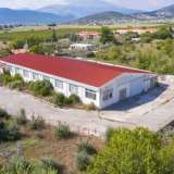  For Sale - (€ 0 / m2), Small Industrial Space 1000 m2 Drama 8098280 thumb1