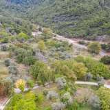  For Sale - (€ 0 / m2), Agricultural 1234.17 m2 Thasos 8098281 thumb4
