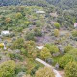  For Sale - (€ 0 / m2), Agricultural 1234.17 m2 Thasos 8098281 thumb9