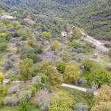  For Sale - (€ 0 / m2), Agricultural 1234.17 m2 Thasos 8098281 thumb5