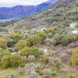 For Sale - (€ 0 / m2), Agricultural 1234.17 m2 Thasos 8098281 thumb8