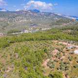  For Sale - (€ 0 / m2), Agricultural 5031 m2 Thasos 8098290 thumb6