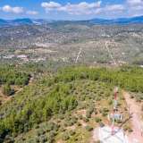 For Sale - (€ 0 / m2), Agricultural 5031 m2 Thasos 8098290 thumb5