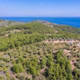  For Sale - (€ 0 / m2), Agricultural 5031 m2 Thasos 8098290 thumb7