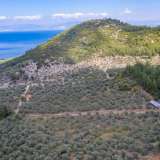  For Sale - (€ 0 / m2), Agricultural 13668 m2 Thasos 8098294 thumb5