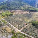  For Sale - (€ 0 / m2), Agricultural 13668 m2 Thasos 8098294 thumb8