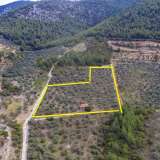  For Sale - (€ 0 / m2), Agricultural 13668 m2 Thasos 8098294 thumb3