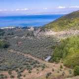  For Sale - (€ 0 / m2), Agricultural 13668 m2 Thasos 8098294 thumb0
