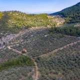  For Sale - (€ 0 / m2), Agricultural 13668 m2 Thasos 8098294 thumb2