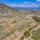  For Sale - (€ 0 / m2), Agricultural 10550 m2 Nikiforos 8098297 thumb6