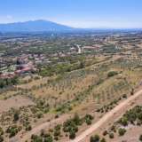  For Sale - (€ 0 / m2), Agricultural 10550 m2 Nikiforos 8098297 thumb1