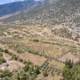  For Sale - (€ 0 / m2), Agricultural 10550 m2 Nikiforos 8098297 thumb8