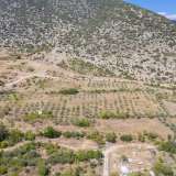  For Sale - (€ 0 / m2), Agricultural 10550 m2 Nikiforos 8098297 thumb7