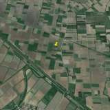  For Sale - (€ 0 / m2), Agricultural 4040 m2 Serres 8098300 thumb4