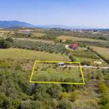  For Sale - (€ 0 / m2), Agricultural 2003 m2 Chrisoupoli 8098311 thumb7