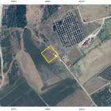  For Sale - (€ 0 / m2), Agricultural 2003 m2 Chrisoupoli 8098311 thumb2