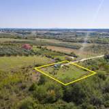 For Sale - (€ 0 / m2), Agricultural 2003 m2 Chrisoupoli 8098311 thumb8