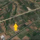  For Sale - (€ 0 / m2), Agricultural 2003 m2 Chrisoupoli 8098311 thumb1