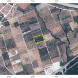  For Sale - (€ 0 / m2), Agricultural 6750 m2 Chrisoupoli 8098342 thumb2