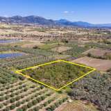  For Sale - (€ 0 / m2), Agricultural 6750 m2 Chrisoupoli 8098342 thumb7