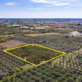  For Sale - (€ 0 / m2), Agricultural 6750 m2 Chrisoupoli 8098342 thumb5