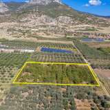  For Sale - (€ 0 / m2), Agricultural 6750 m2 Chrisoupoli 8098342 thumb8