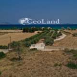  For Sale - (€ 0 / m2), Agricultural 9900 m2 Kranidi 7798345 thumb5