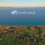  For Sale - (€ 0 / m2), Agricultural 9900 m2 Kranidi 7798345 thumb6