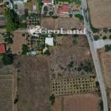  For Sale - (€ 0 / m2), Agricultural 9900 m2 Kranidi 7798345 thumb8