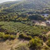  For Sale - (€ 0 / m2), Agricultural 1500 m2 Pierea 8098351 thumb1