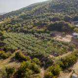  For Sale - (€ 0 / m2), Agricultural 1500 m2 Pierea 8098351 thumb0