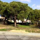   Almancil (Zentral Algarve) 6998352 thumb1