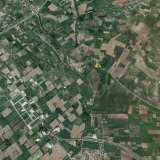  For Sale - (€ 0 / m2), Agricultural 3125 m2 Strimonas 8098359 thumb2